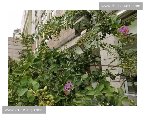 允奇vs：当极致主义撞上平庸，谁才是你梳妆台上的“最后赢家”？